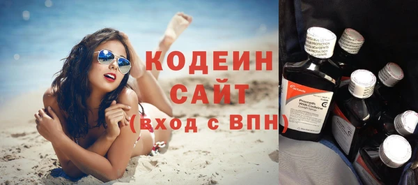a pvp Бородино