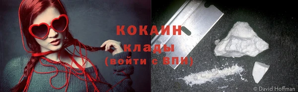 a pvp Бородино