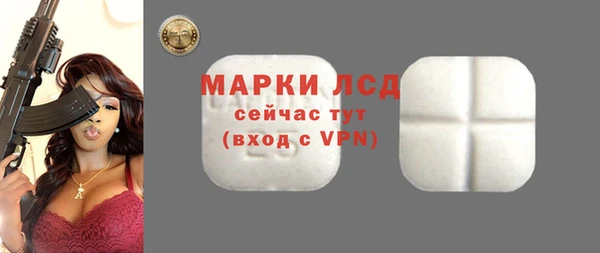 a pvp Бородино