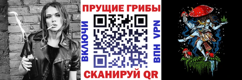 Псилоцибиновые грибы мицелий  Ульяновск 
